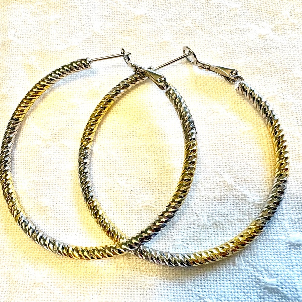 Elegant Gold and Silver (plated)
Hoop Earrings